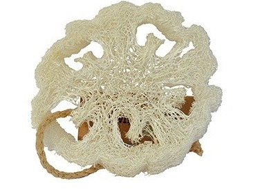 Gąbka pilingująca Loofa, sr.10 cm , grubosć 2 cm, TADE